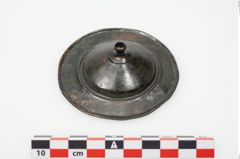 Foto von Bronzephalere (NHMW-PRAE-025078)